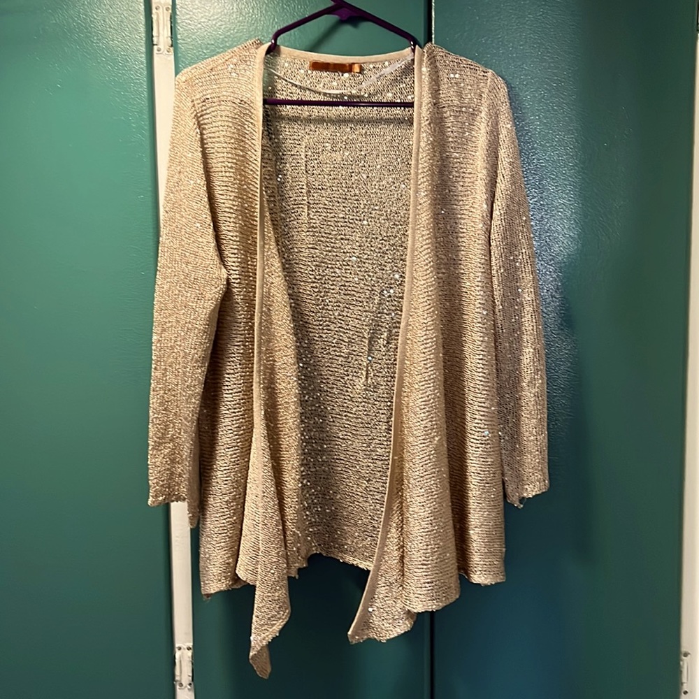 Sheer sequin cover